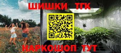 амф Новозыбков