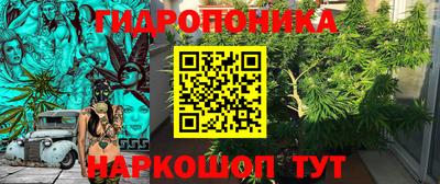 гидропоника Новокубанск