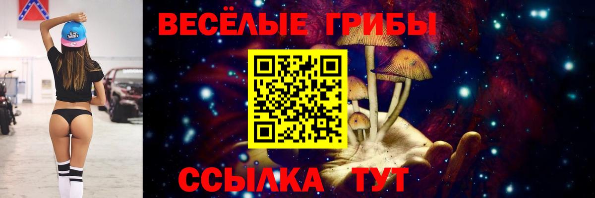Химки  Псилоцибиновые грибы прущие грибы  Галлюциногенные грибы Psilocybine cubensis  Вход с VPN 